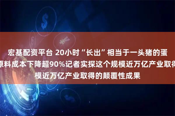 宏基配资平台 20小时“长出”相当于一头猪的蛋白、合成牛黄原料成本下降超90%记者实探这个规模近万亿产业取得的颠覆性成果