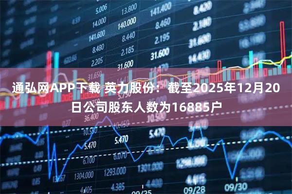 通弘网APP下载 英力股份：截至2025年12月20日公司股东人数为16885户