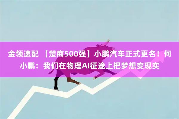 金领速配 【楚商500强】小鹏汽车正式更名！何小鹏：我们在物理AI征途上把梦想变现实